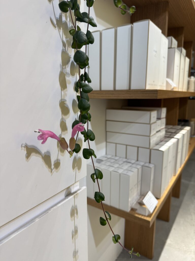 Pink Flower at the Entrance – Colors Japanese Hair Salon Singapore 1 クラークキー近くのColors Japanese Hair Salon Singapore店内で季節を感じるピンクの花のディテール