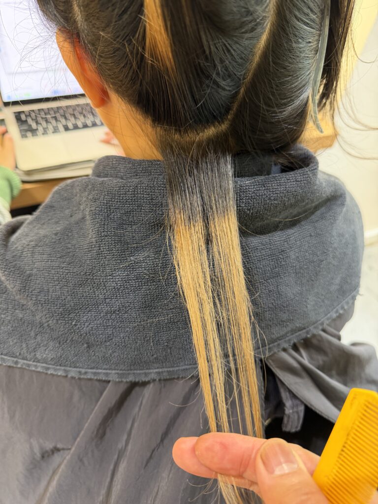 【Highlight Correction & Grey Blending Process】 1 IMG 0267