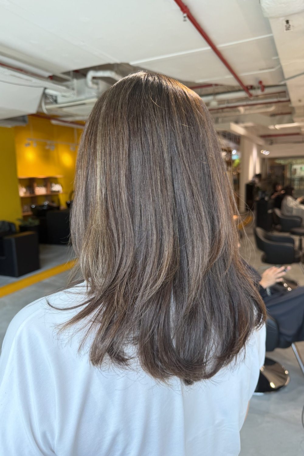 Grey Coverage Ash Brown Medium Layer Hair Singapore | Organic Grey Coverage Hair Color Singapore