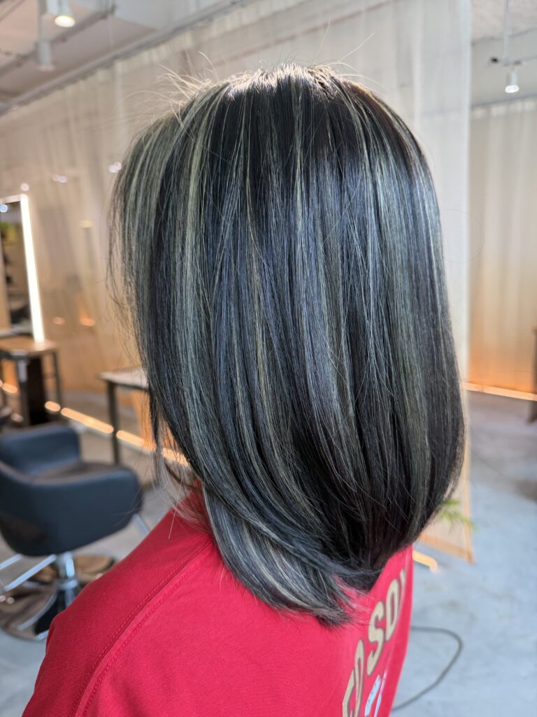 High-contrast grey blending with dark base and fine highlights at Japanese hair salon in Singapore