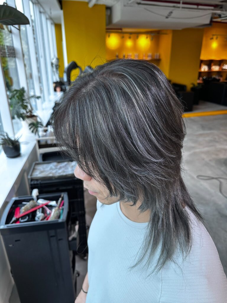 Unisex High Layer Cut with Silver Highlights at Japanese Hair Salon Singapore. Dark silver base with light silver highlights created using low-damage Plex bleach.