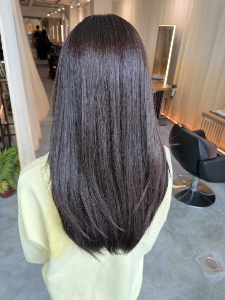 Long hair with minimal layers and glossy plum brown Plex color, finished with a rich red-brown tone for an autumn-inspired look in Singapore