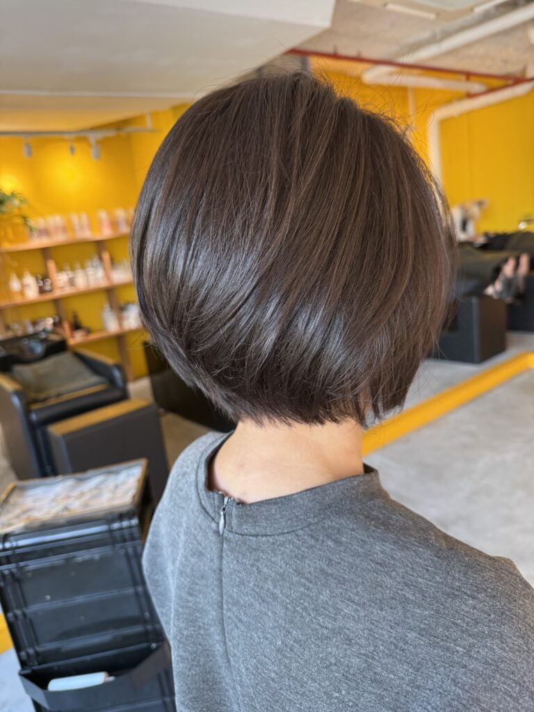Dark ash grey coverage on a graduated bob, designed for full grey hair coverage with a glossy finish and a neat neckline, finished with a microbubble shampoo at a Japanese hair salon in Singapore.